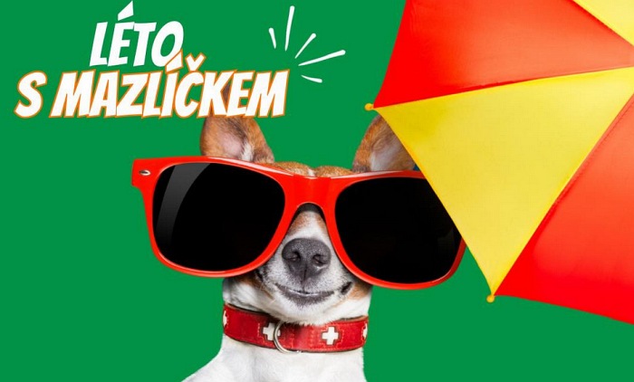Leto so zvieratkom