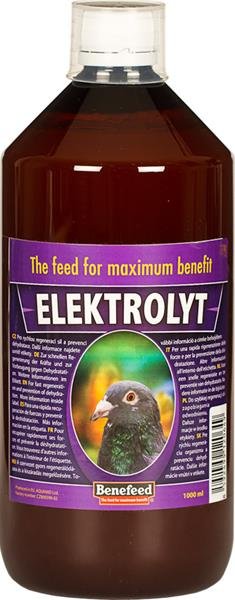 Elektrolyt H holuby 1l