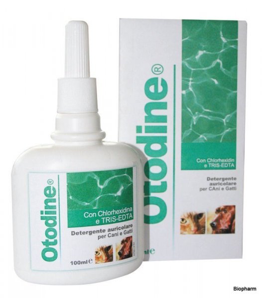 Otodine 100ml 