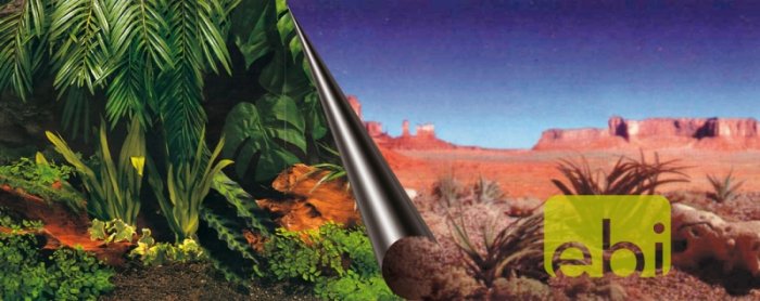 Pozadie akváriové Jungle+Dessert Duvo+ 120 x 50 cm