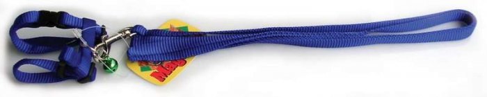 Postroj 10mm x 15-25cm s vodítkom 10mm x 120cm pre morča