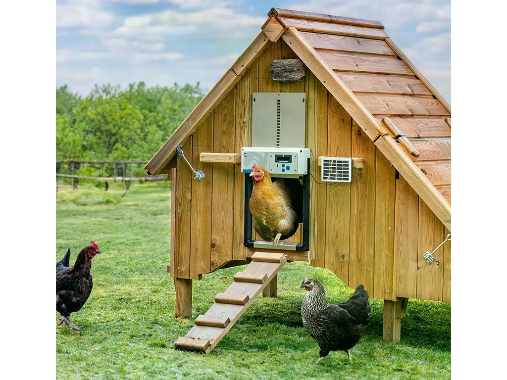 Komplet automatického otevírání a zavírání kurníku CHICKEN GUARD ALL IN ONE SOLAR