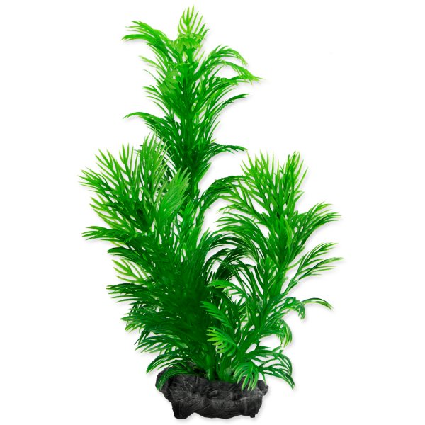 Rastlina Green Cabomba Plus 15 cm