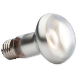 Hagen Exo Terra Intense Basking Spot 25 W