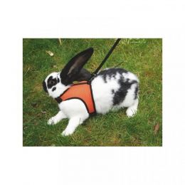 Postroj a vodítko pre králika SPORT  