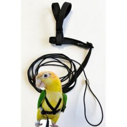 Traky s vodítkom pre papagáje S
