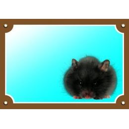 Tabuľka DAFIKO škrečok 