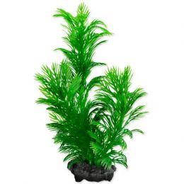 Rastlina Green Cabomba Plus 15 cm
